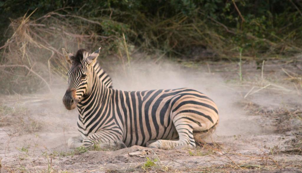 Fathala Wildlife Reserve Toubakouta Exterior photo
