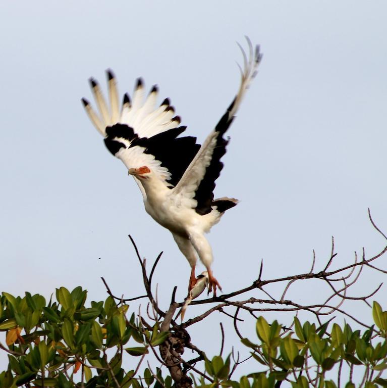 Fathala Wildlife Reserve Toubakouta Exterior photo