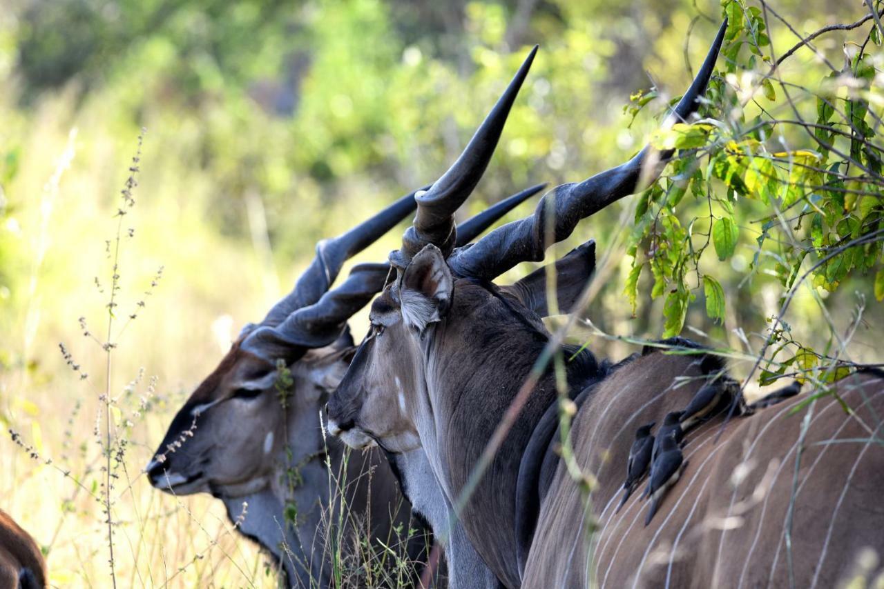 Fathala Wildlife Reserve Toubakouta Exterior photo
