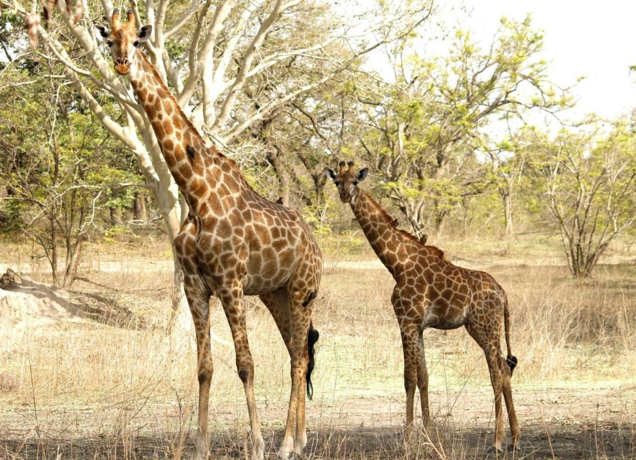 Fathala Wildlife Reserve Toubakouta Exterior photo