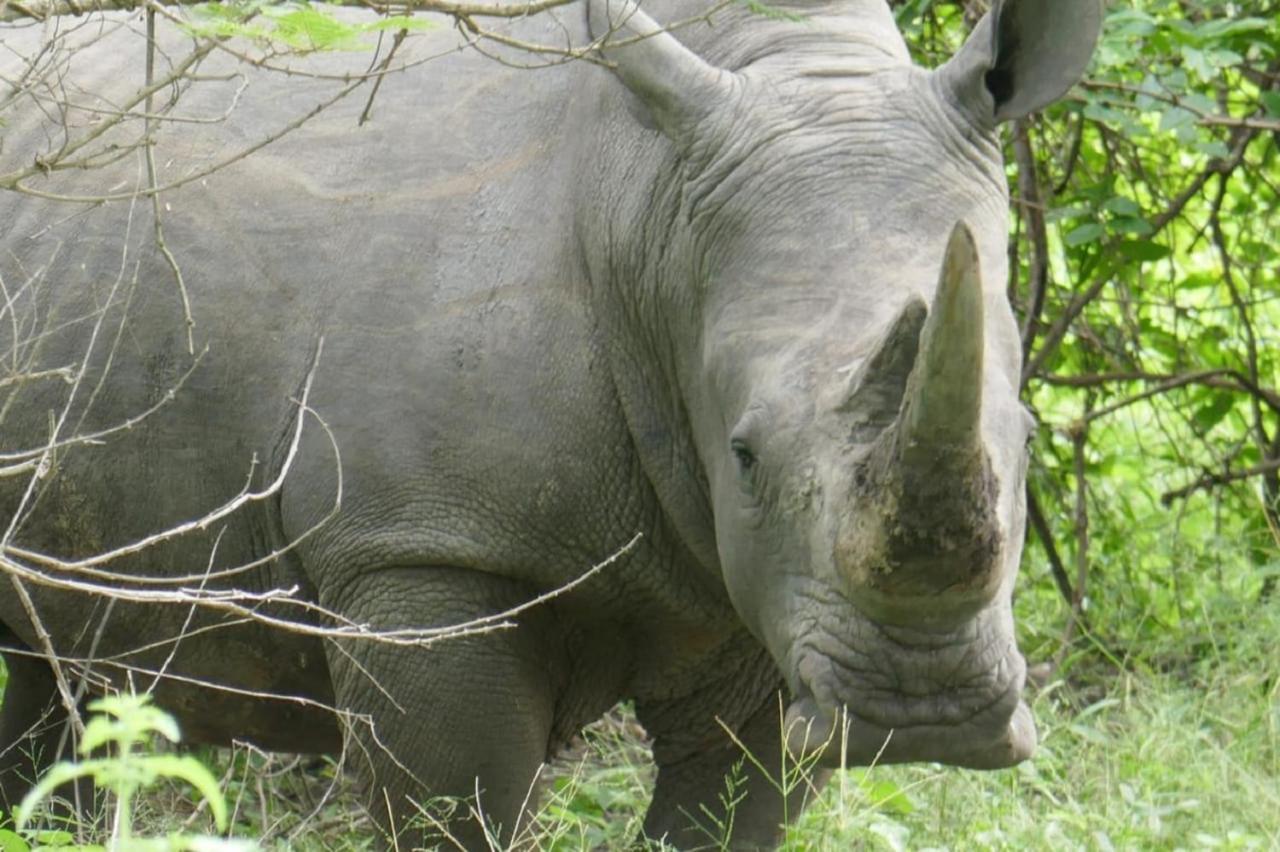 Fathala Wildlife Reserve Toubakouta Exterior photo